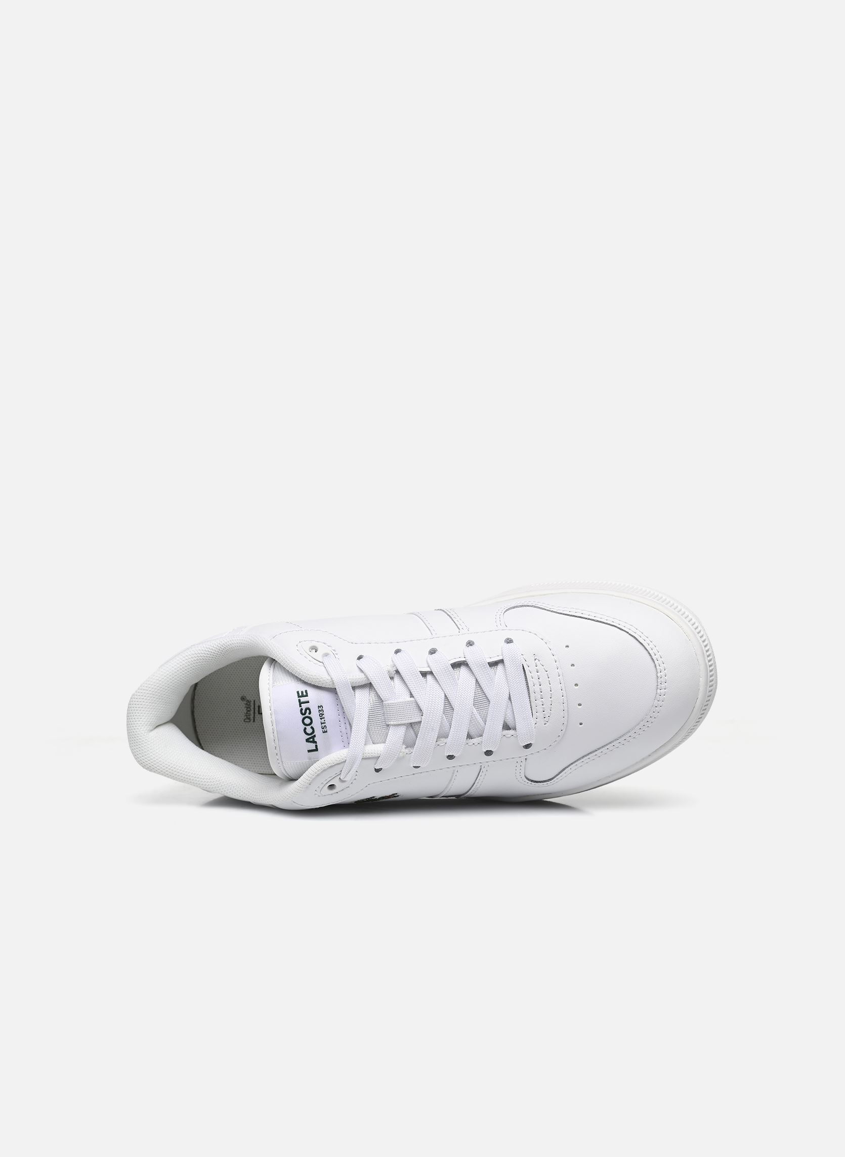 Baskets T-CLIP W femme blanc Lacoste Baskets T-CLIP W femme blanc wht/wht