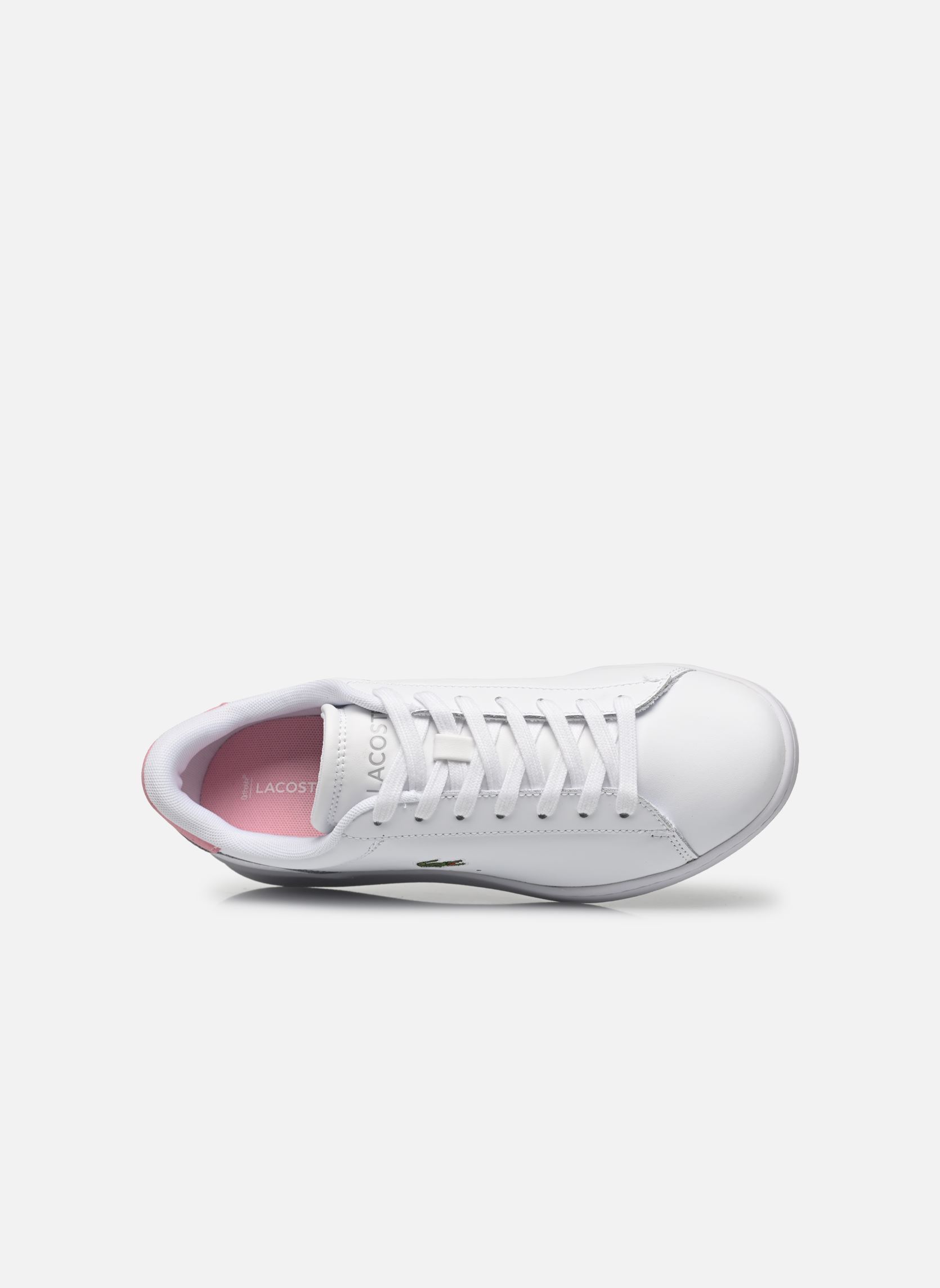 Baskets CARNABY W femme blanc Lacoste Baskets CARNABY W femme blanc WHT/LT PNK 2