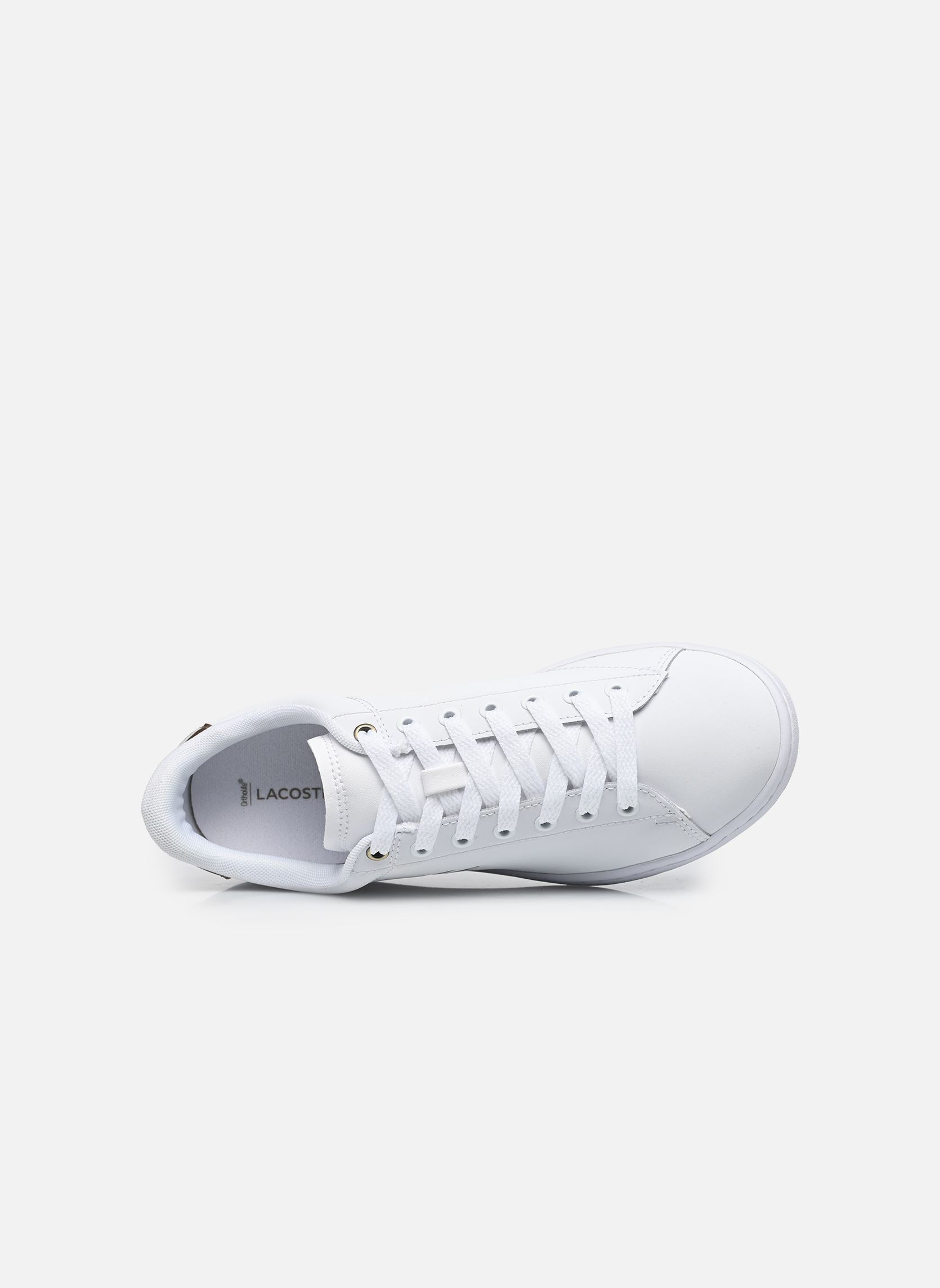 Baskets CARNABY W femme blanc Lacoste Baskets CARNABY W femme blanc WHT/BRZ