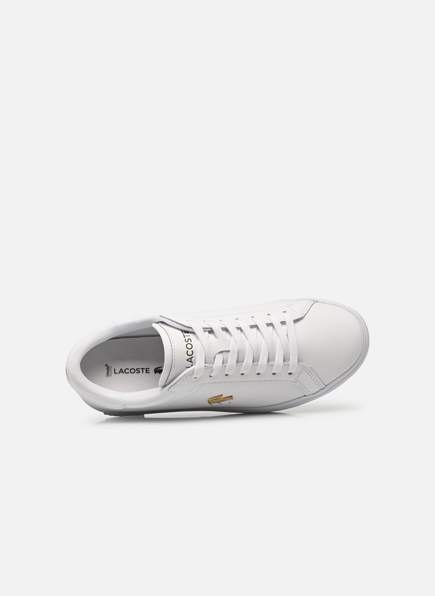 Baskets POWERCOURT W femme blanc Lacoste Baskets POWERCOURT W femme blanc WHT/GLD