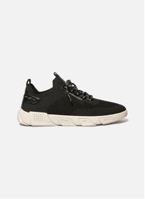 Baskets basses Tennis toile JAZSAIL NOIR homme beige