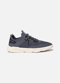 Baskets basses Tennis toile JAZSAIL NOIR homme beige