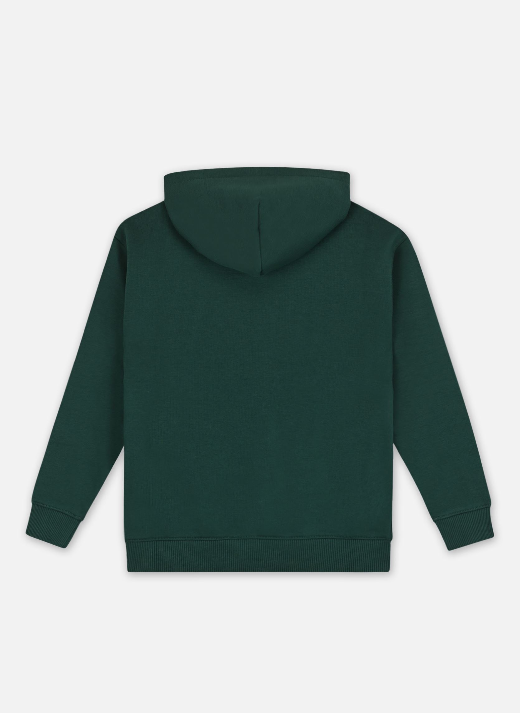 Sweats à capuche U Timeless Hoodie KS0KS00579 garçon vert Tommy Hilfiger Sweats à capuche U Timeless Hoodie KS0KS00579 garçon vert ORNAMENTAL GREEN