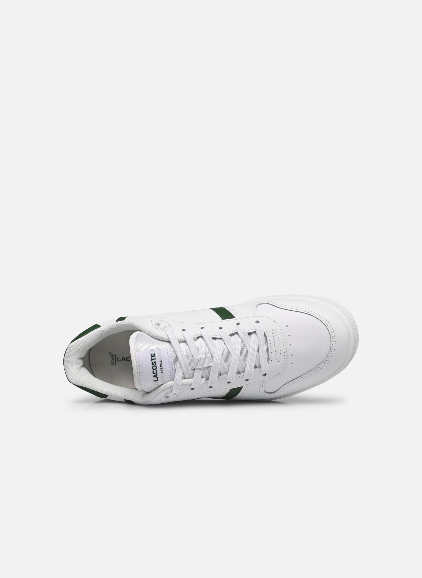 Baskets T-CLIP M homme blanc Lacoste Baskets T-CLIP M homme blanc WHT/DK GRN