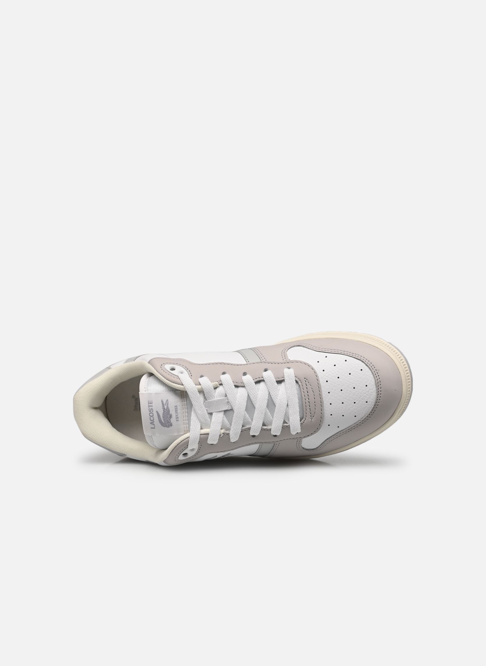 Baskets T-CLIP M homme gris Lacoste Baskets T-CLIP M homme gris WHT/LT GRY