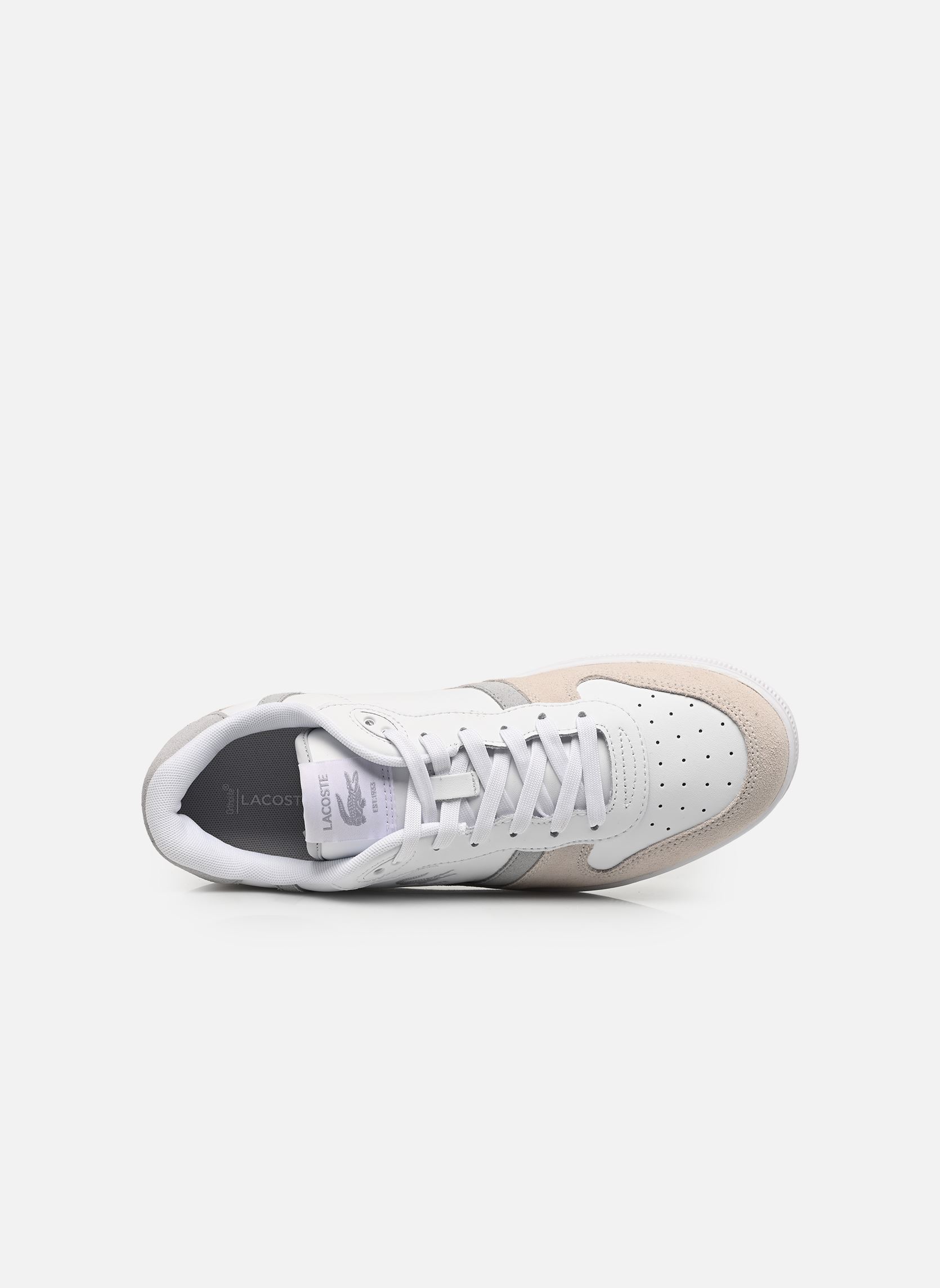 Baskets T-CLIP M homme blanc Lacoste Baskets T-CLIP M homme blanc WHT/LT GRY 1
