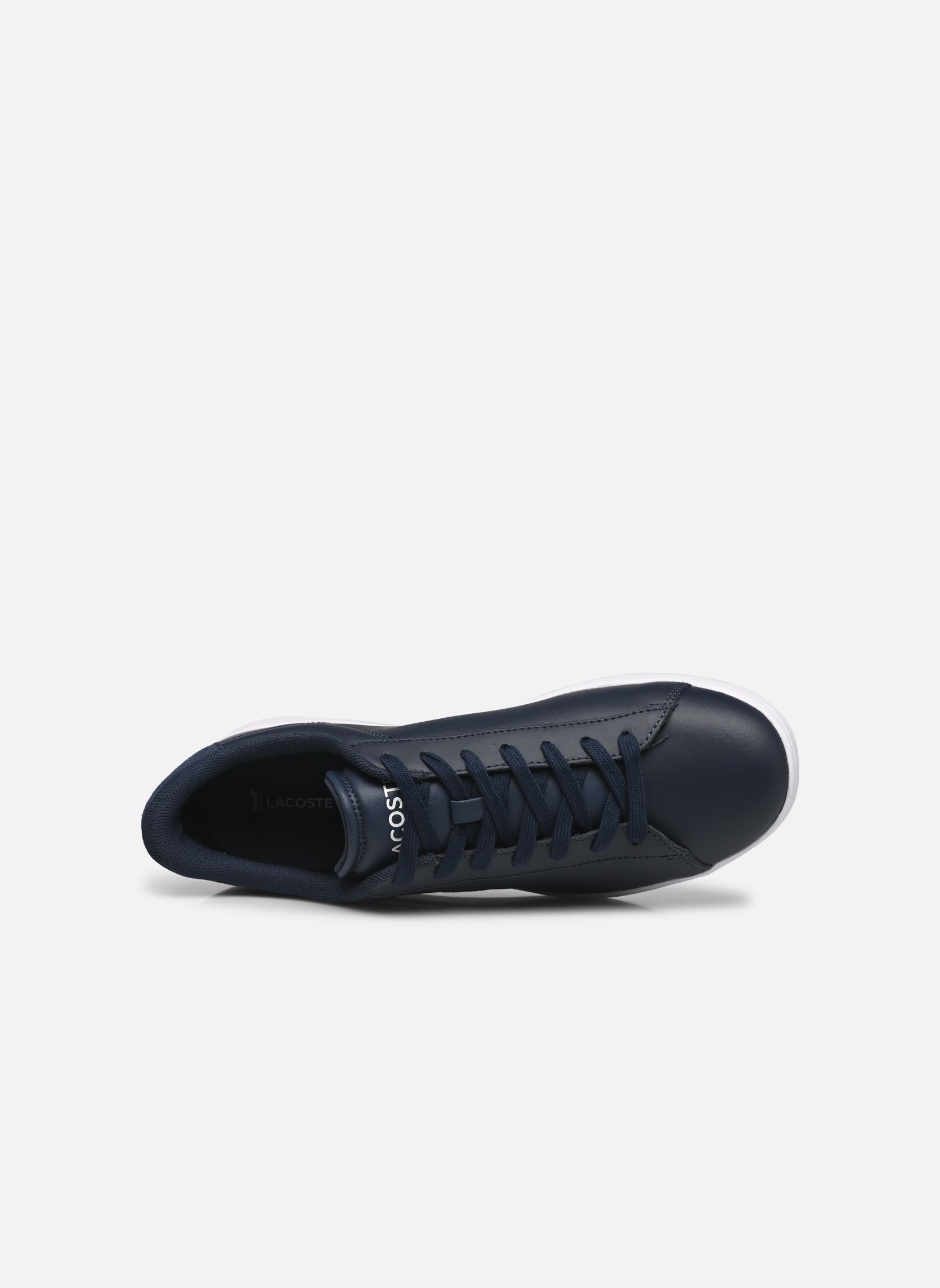 Baskets CARNABY M homme bleu Lacoste Baskets CARNABY M homme bleu NVY/WHT