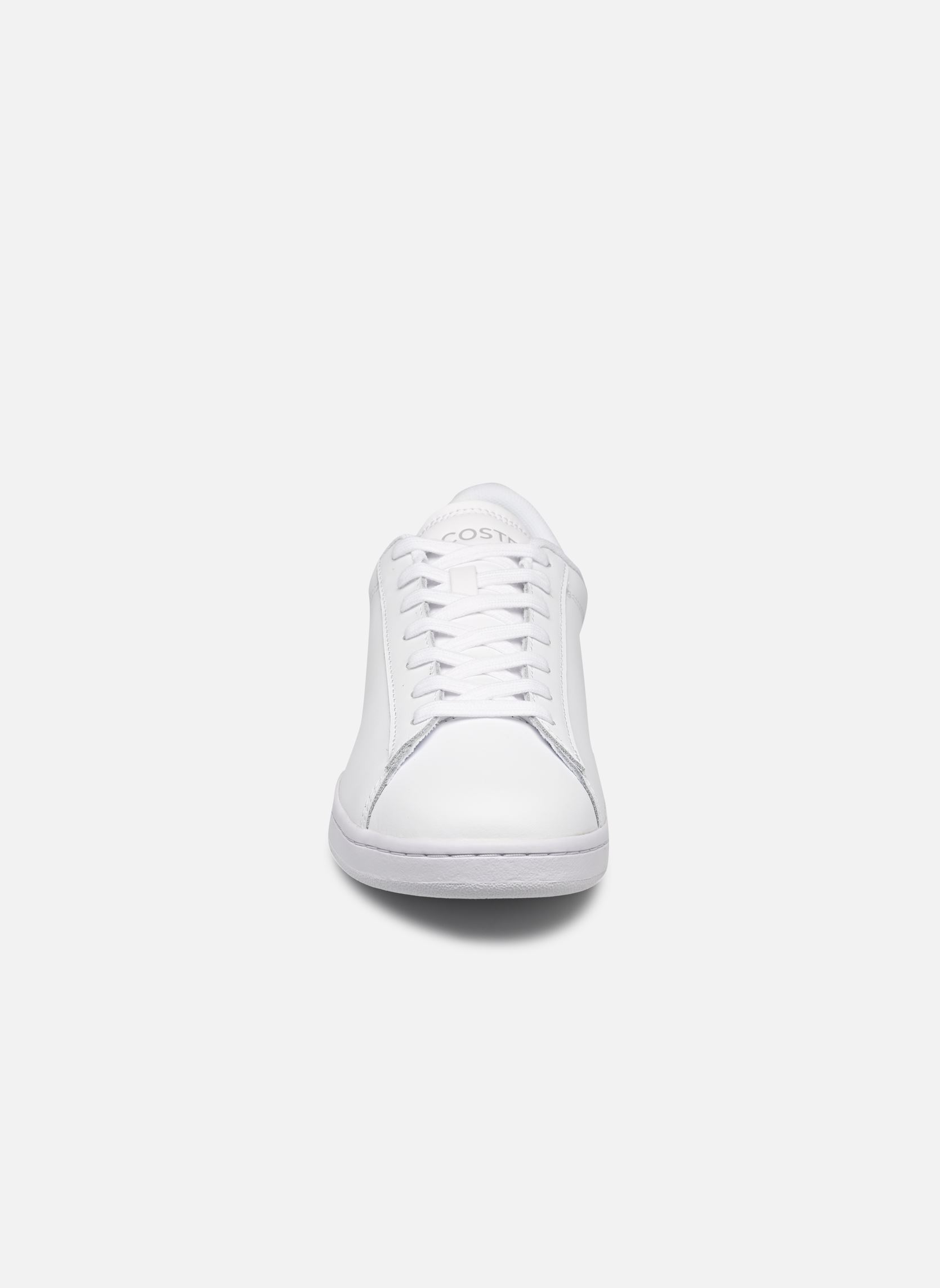 Baskets CARNABY M homme blanc Lacoste Baskets CARNABY M homme blanc WHT/DK GRN