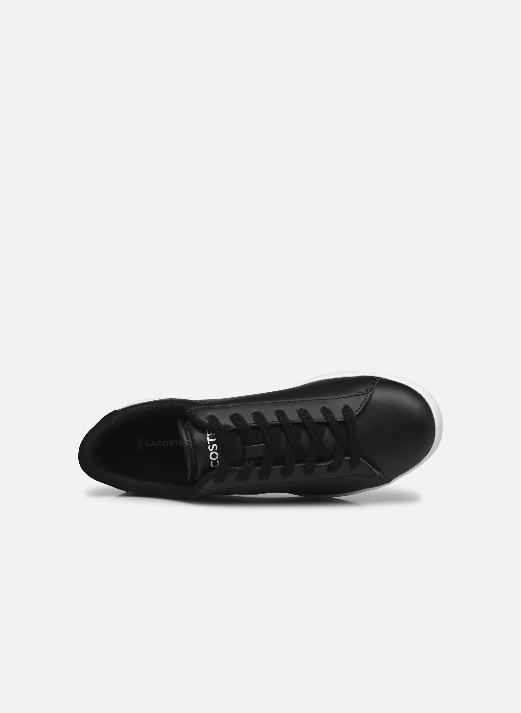 Baskets CARNABY M homme noir Lacoste Baskets CARNABY M homme noir blk/wht