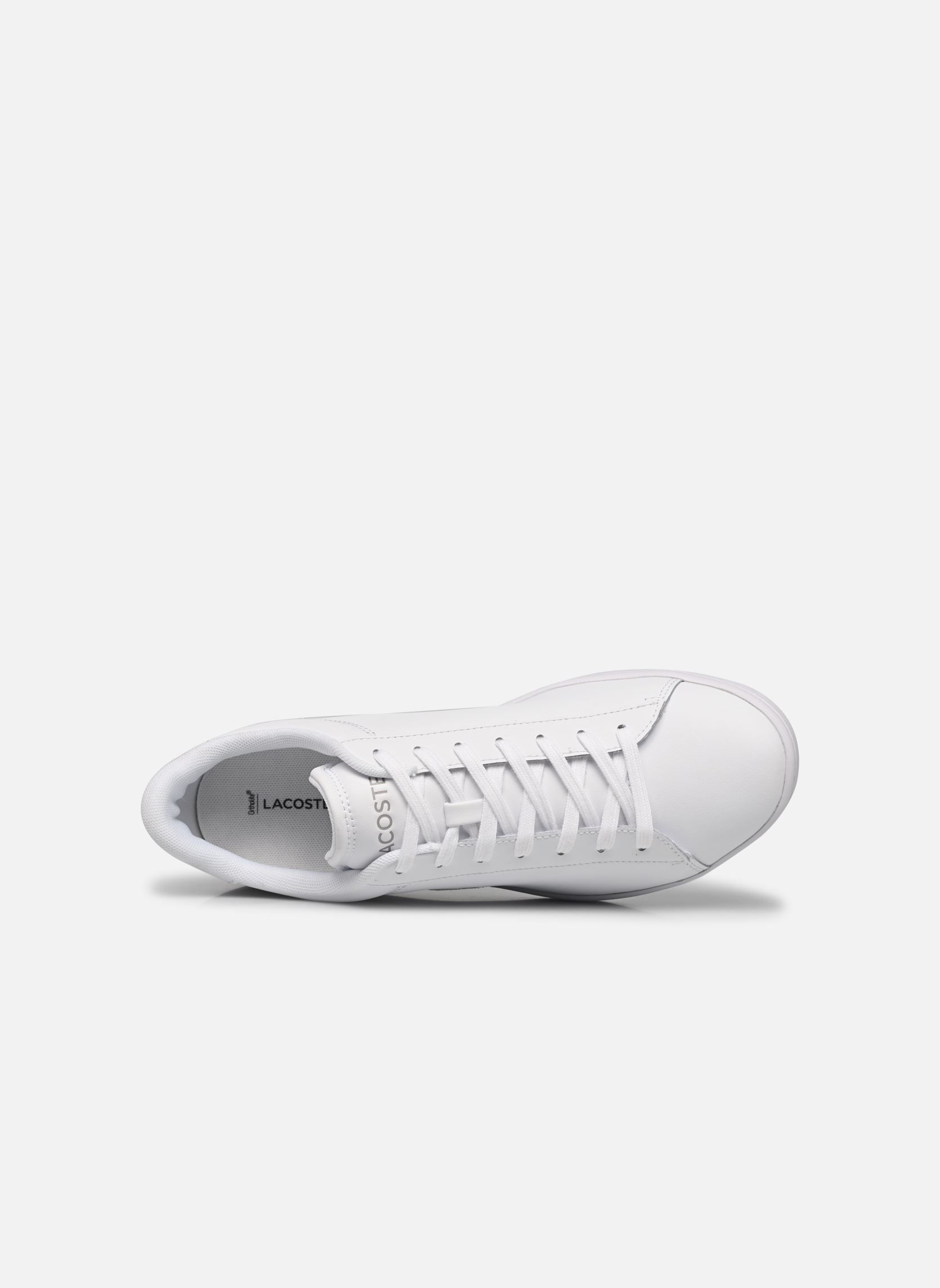 Sneaker CARNABY M herren weiß Lacoste Sneaker CARNABY M herren weiß wht/wht