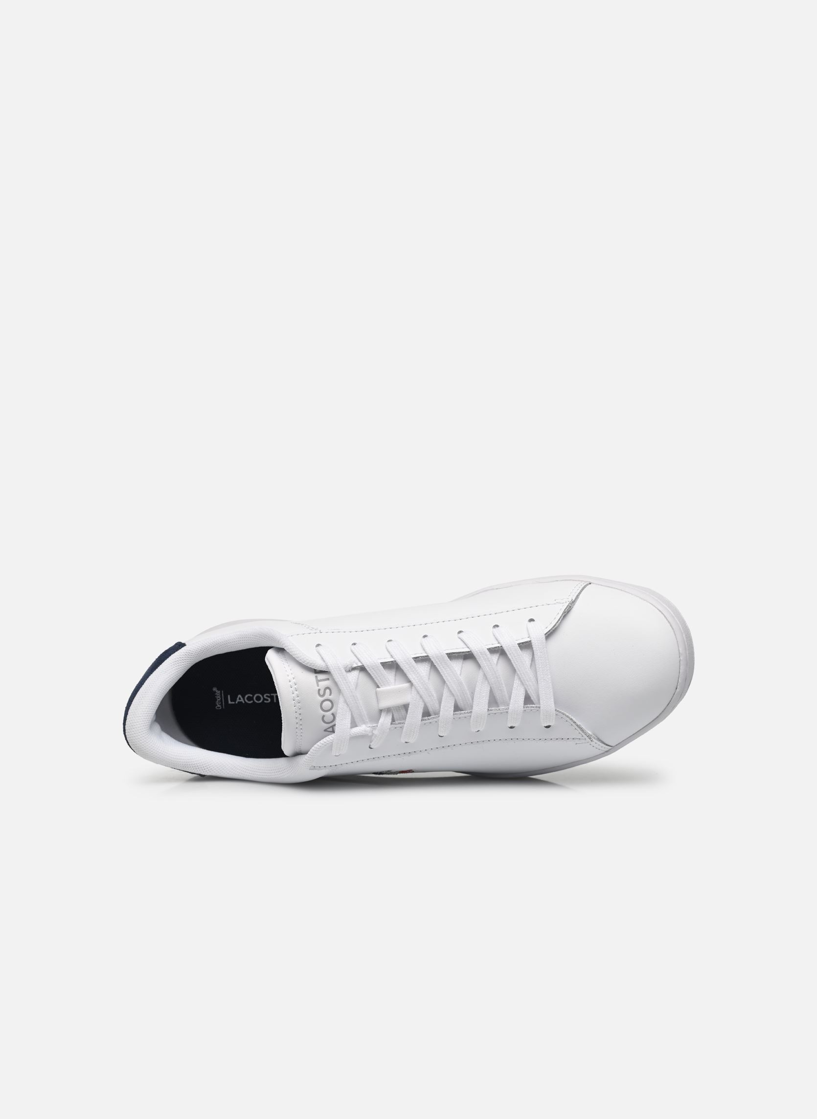 Sneakers CARNABY M heren wit Lacoste Sneakers CARNABY M heren wit Wht/Nvy/Red
