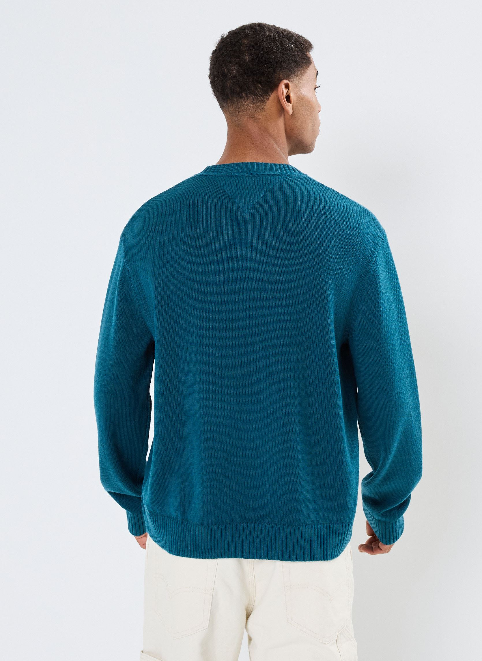 Pulls Tjm Reg Badge Sweate DM0DM20706 homme bleu Tommy Jeans Pulls Tjm Reg Badge Sweate DM0DM20706 homme bleu BLUE