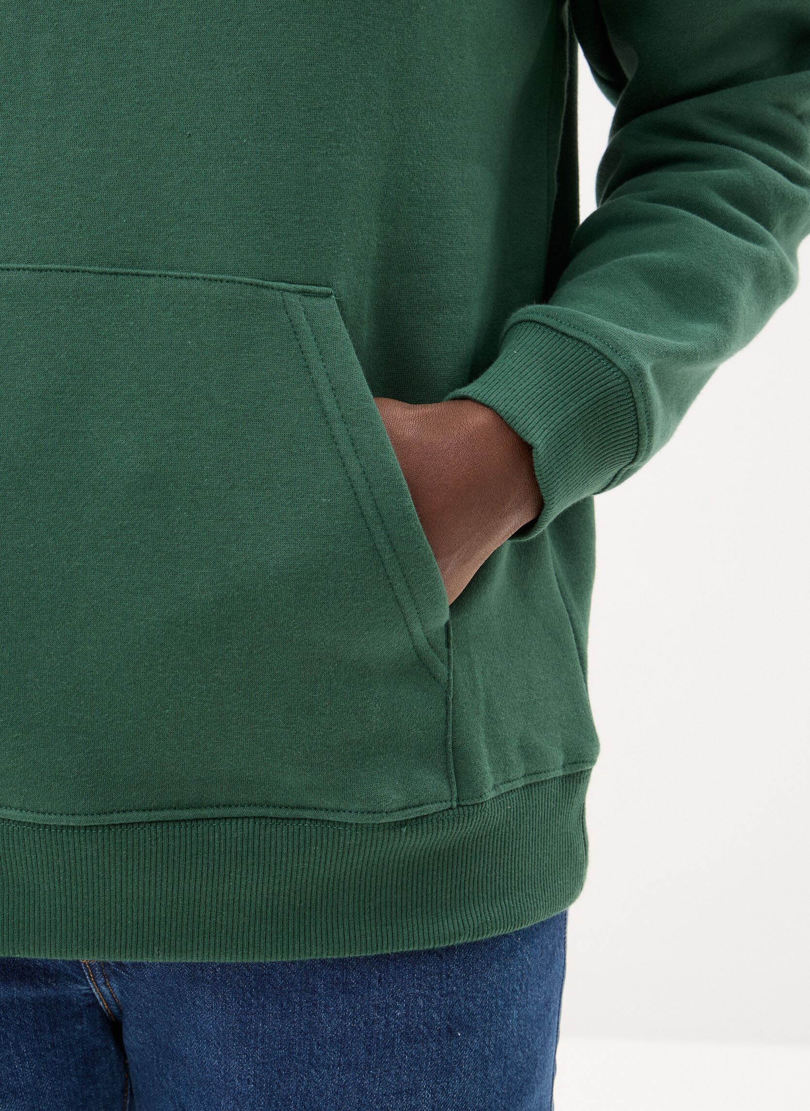 Kapuzenpullover Tjm Reg S Flag Hoodi DM0DM20742 herren grün Tommy Jeans Kapuzenpullover Tjm Reg S Flag Hoodi DM0DM20742 herren grün SHADOW PINE