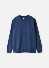 Sweats Tjm Reg S Flag Fleec DM0DM20741 homme bleu Tommy Jeans Sweats Tjm Reg S Flag Fleec DM0DM20741 homme bleu BASIC NAVY