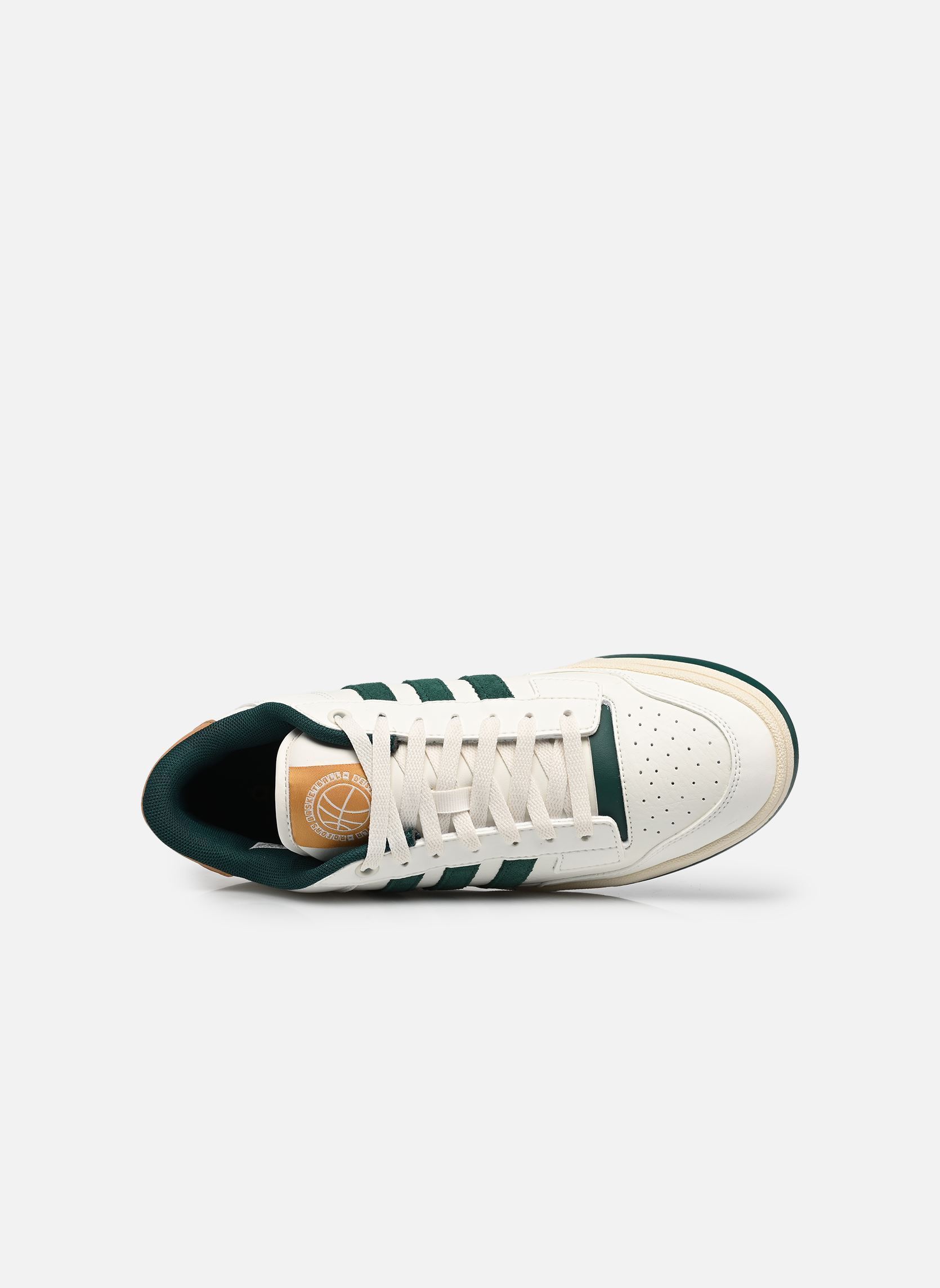 Baskets basses RAPID COURT LOW homme blanc adidas sportswear Baskets basses RAPID COURT LOW homme blanc CORE WHITE