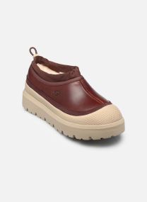 Bottes fourrées M Tasman Weather Hybrid homme gris