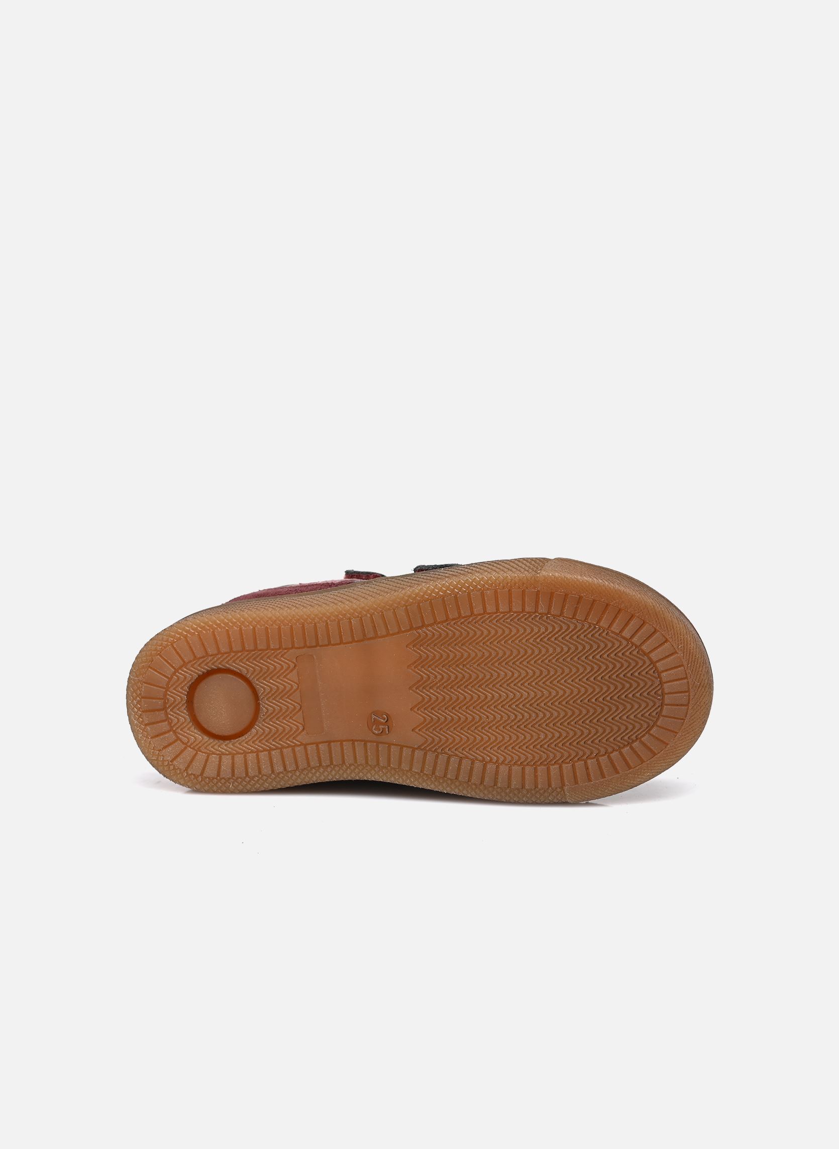 Hoge sneakers Rosario meisjes bordeaux Froddo Hoge sneakers Rosario meisjes bordeaux BORDEAUX