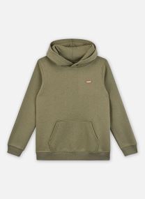 Sweats à capuche Levi's Mini Batwing Hoodie garçon vert Levi's Kids Sweats à capuche Levi's Mini Batwing Hoodie garçon vert DEEP LICHEN GREEN