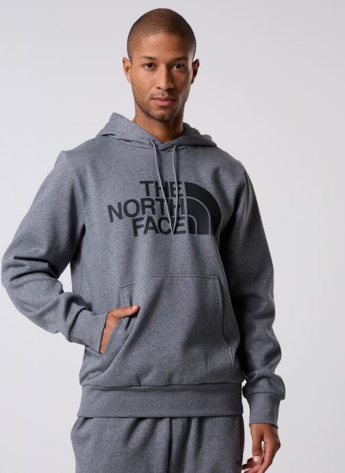 The North Face Sweats à capuche M Easy Hoodie homme gris