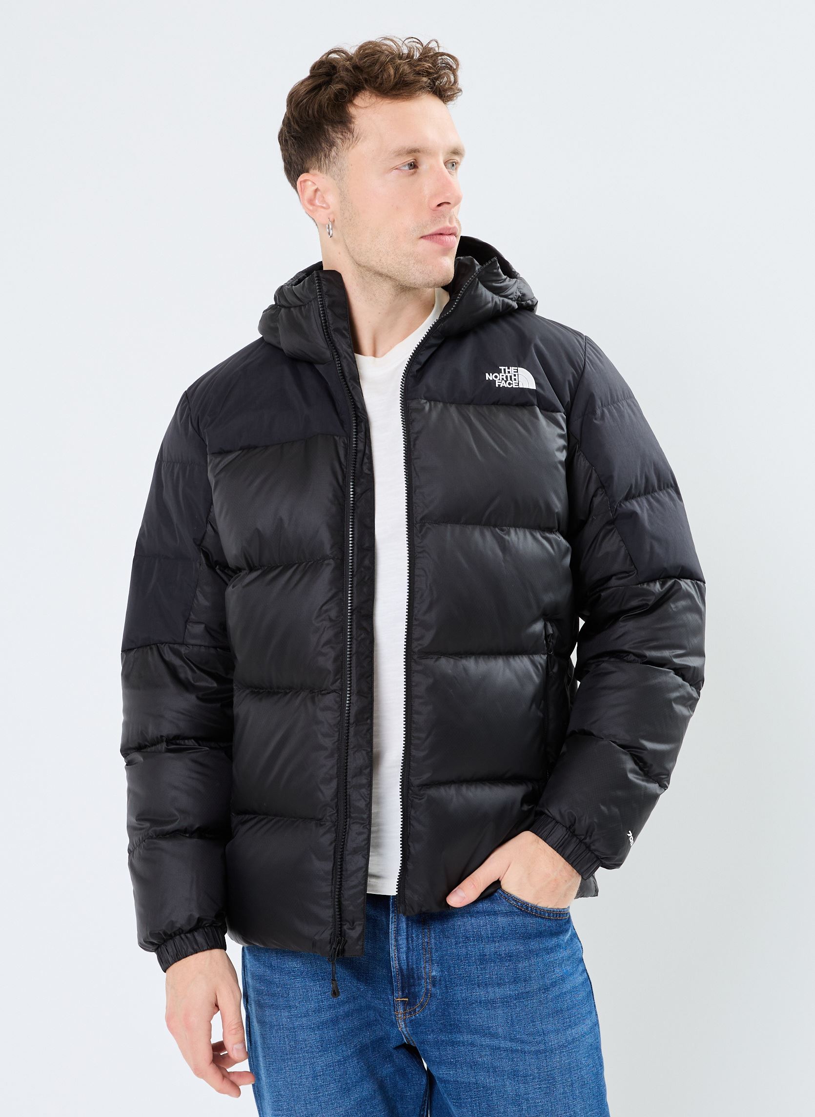 Vêtements The North Face Diablo Down 2.0 Hoodie pour Accessoires