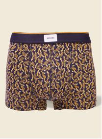 Slips PACTIGE1H homme bleu