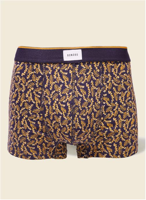 Bonobo Slips PACTIGE1H homme bleu