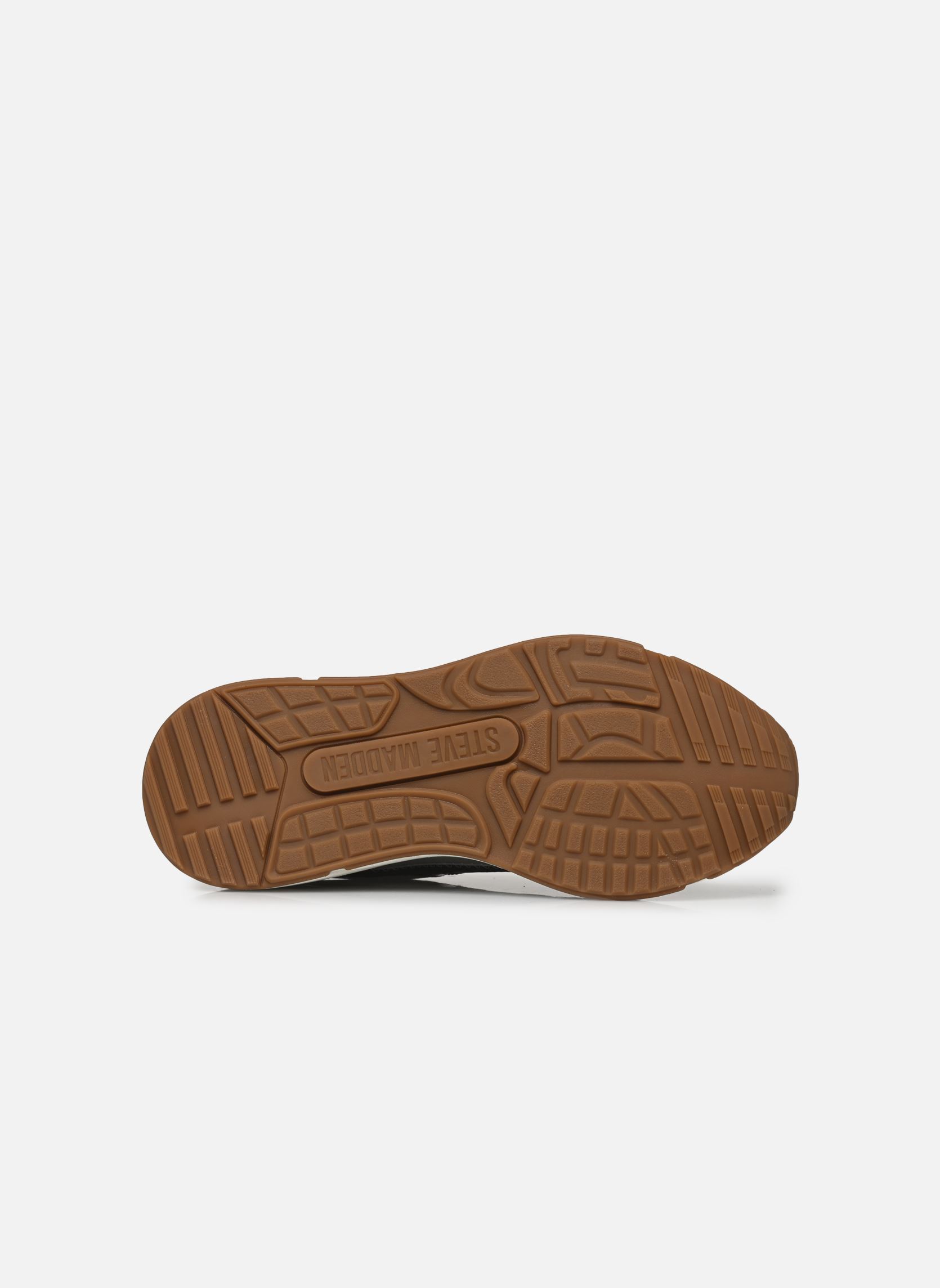 Sneakers Starlyn dames bordeaux Steve Madden Sneakers Starlyn dames bordeaux BURGUNDY MULTI