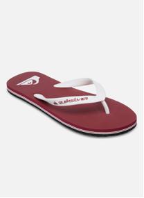 Tongs Molokai Core homme gris
