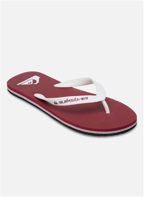 Quiksilver Tongs Molokai Core homme rouge