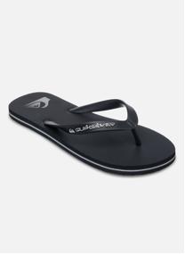 Tongs Molokai Core homme gris