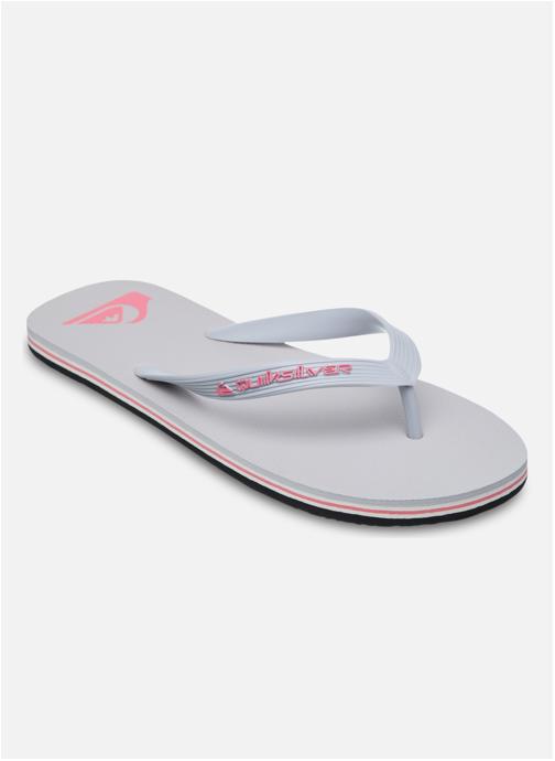 Quiksilver Tongs Molokai Core homme gris