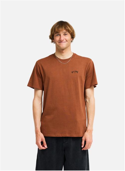 Billabong Tee-shirts Arch Wave homme marron
