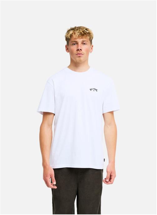 Billabong Tee-shirts Arch Wave homme marron
