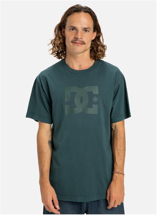 DC Shoes Tee-shirts DC Star Pigment Dye homme vert