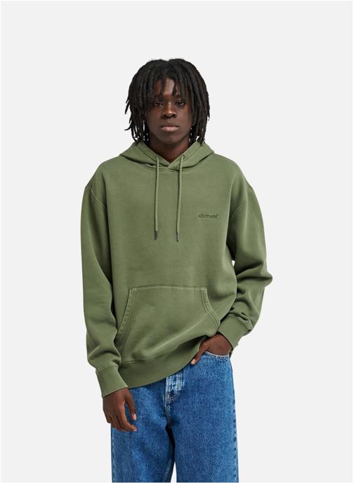 Element Sweats à capuche Sweat à capuche LOWCASE PIGMENT PO homme vert