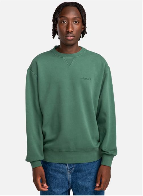 Element Sweats à capuche Lowcase Pigment Cr homme vert