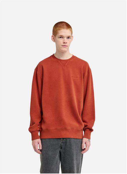 Element Sweats à capuche Lowcase Pigment Cr homme orange