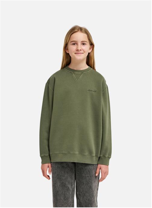 Element Sweats à capuche Sweat LOWCASE PIGMENT CR Y garçon vert