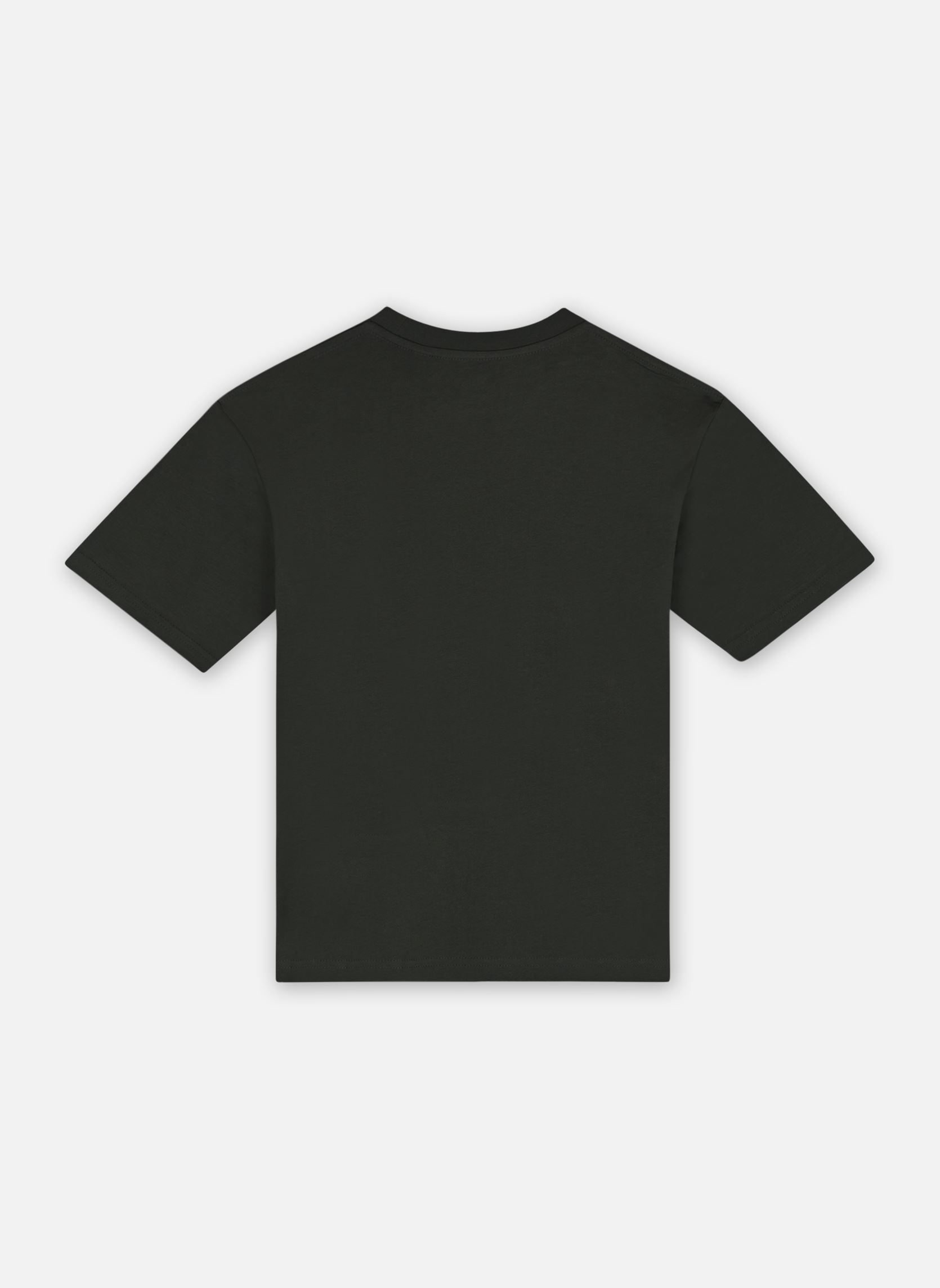 Kurzarm-T-Shirts T60423 jungen grün Timberland Kurzarm-T-Shirts T60423 jungen grün RUSH FONCE