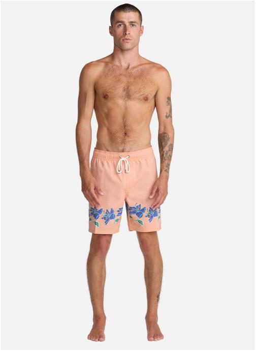 RVCA Shorts de bain Barnes homme multicolore
