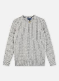 Pulls Ls Cable Cn-Tops-Sweater garçon gris Polo Ralph Lauren Pulls Ls Cable Cn-Tops-Sweater garçon gris ANDOVER HEATHER/C7932