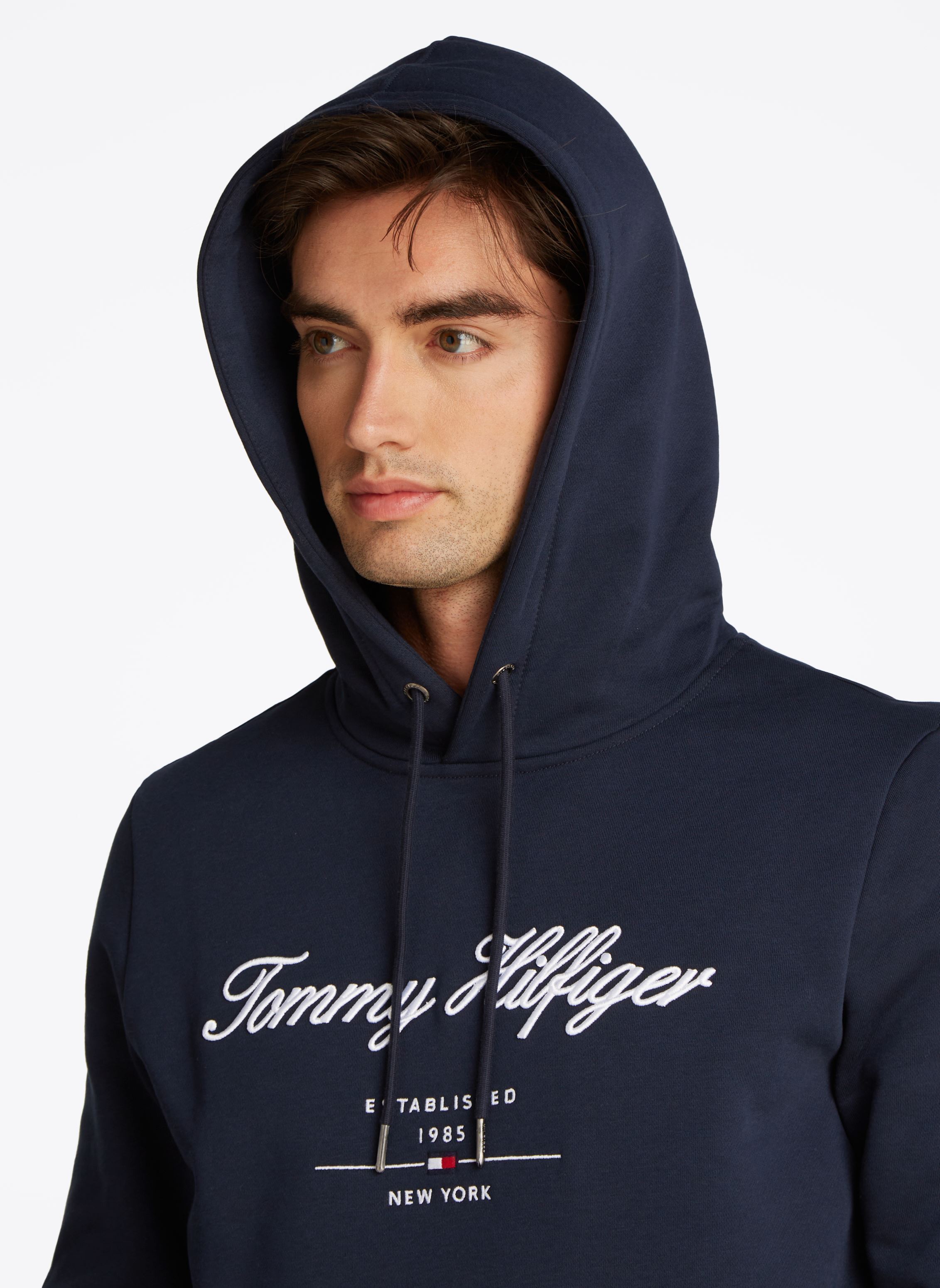 Sweats à capuche Script Logo Hoody MW0MW33631 homme bleu Tommy Hilfiger Sweats à capuche Script Logo Hoody MW0MW33631 homme bleu DESERT SKY