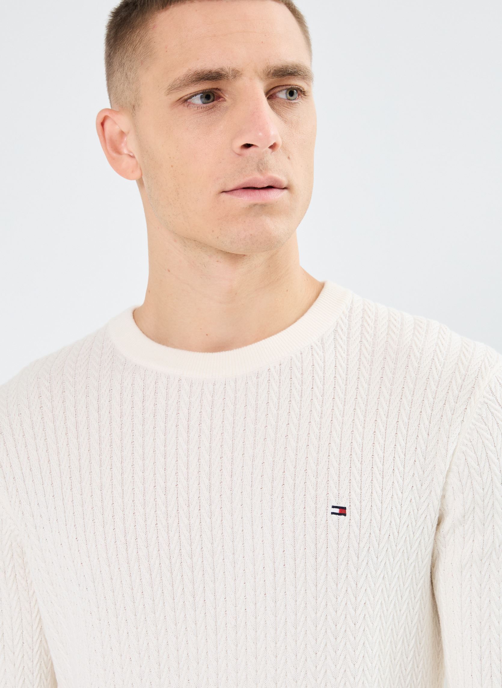 Truien Herringbone Structur MW0MW37400 heren wit Tommy Hilfiger Truien Herringbone Structur MW0MW37400 heren wit IVORY PETAL