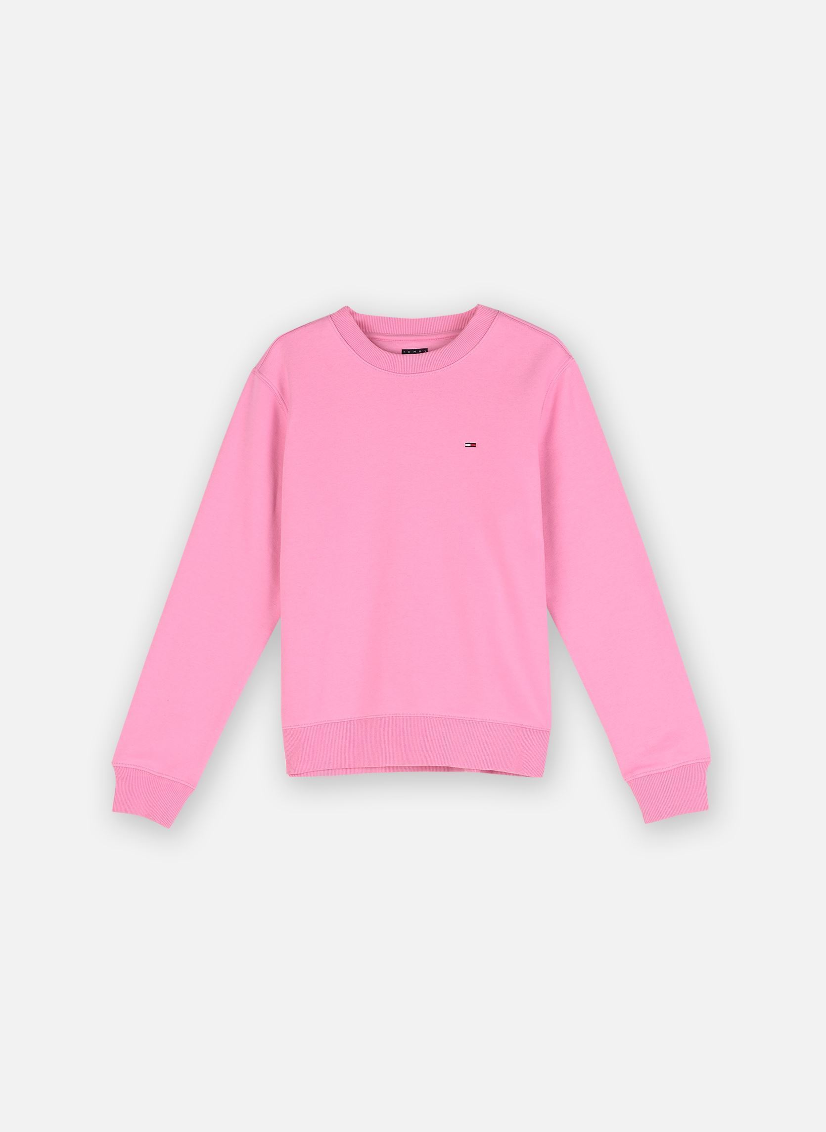 Vêtements Tommy Jeans Tjw Reg Flag Crew DW0DW19959 pour Femme