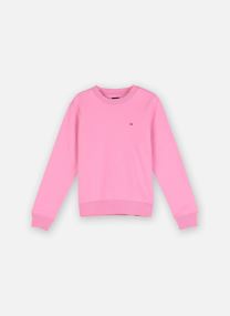 Sweatshirts Tjw Reg S Flag Crew DW0DW19959 femme noir