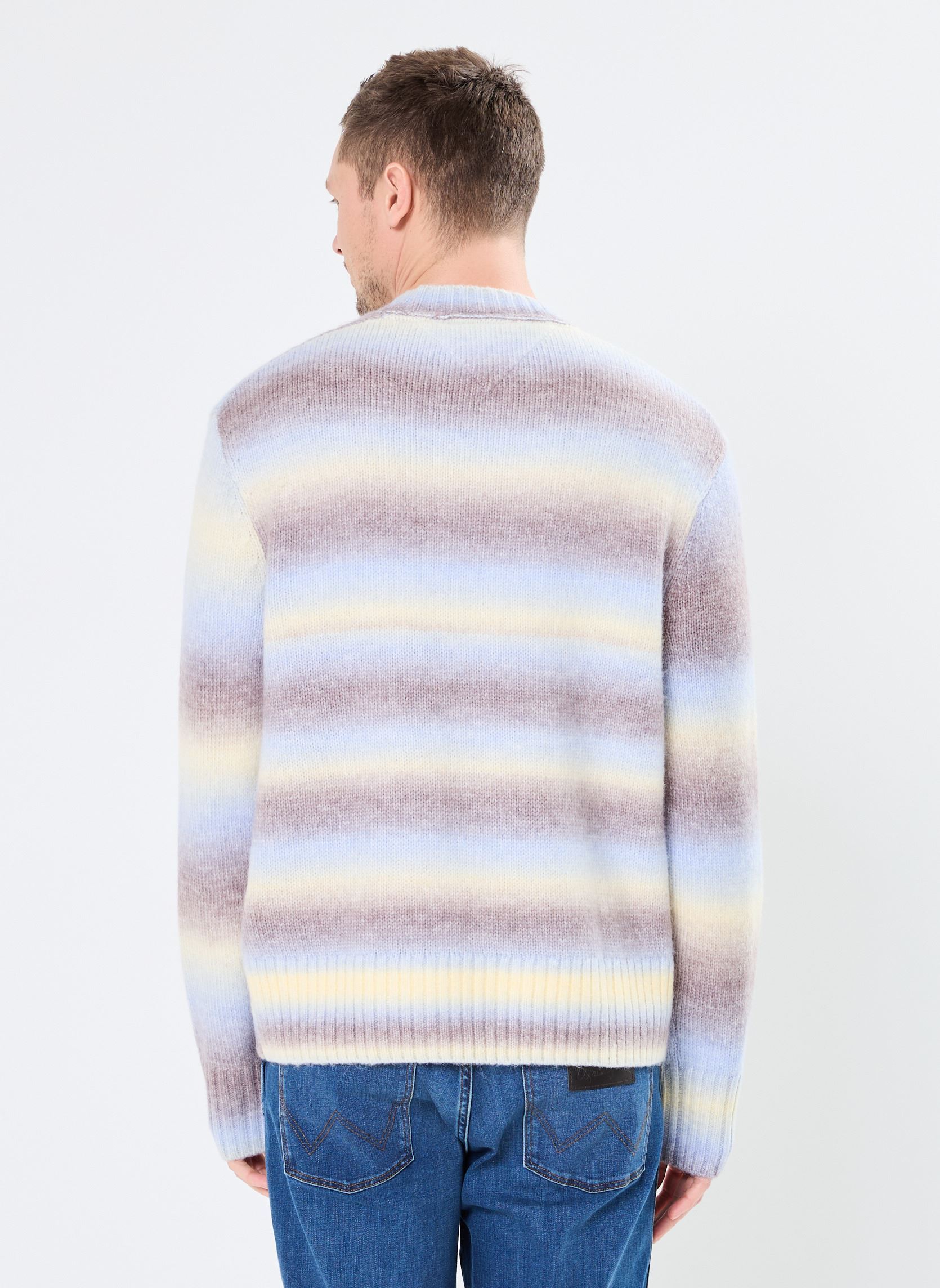 Pulls Tjm Reg Ombre Cneck DM0DM20298 homme multicolore Tommy Jeans Pulls Tjm Reg Ombre Cneck DM0DM20298 homme multicolore CUSTARD CREAM
