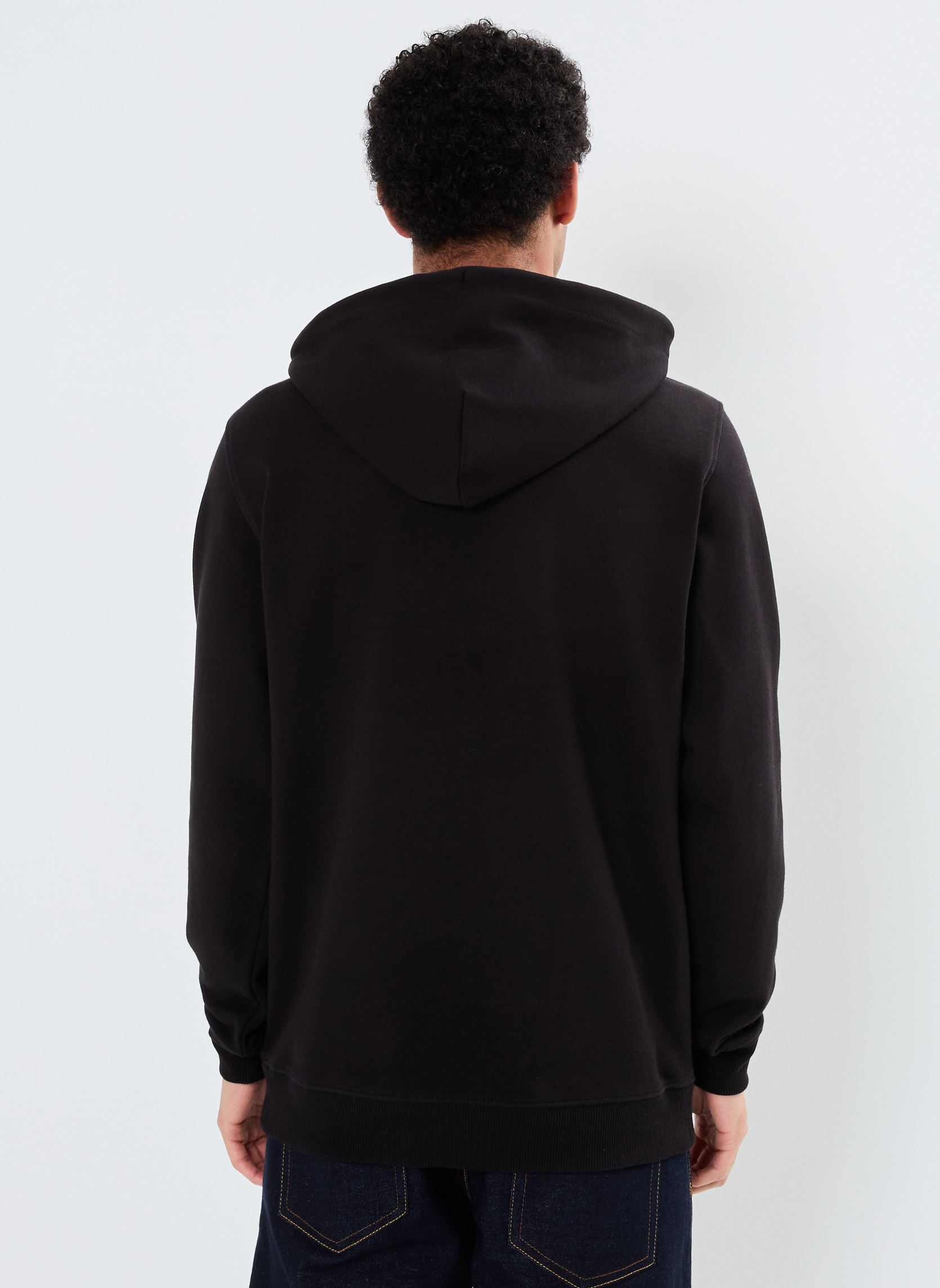 Kapuzenpullover Tjm Reg Dna Flag Twi DM0DM21100 herren schwarz Tommy Jeans Kapuzenpullover Tjm Reg Dna Flag Twi DM0DM21100 herren schwarz BLACK