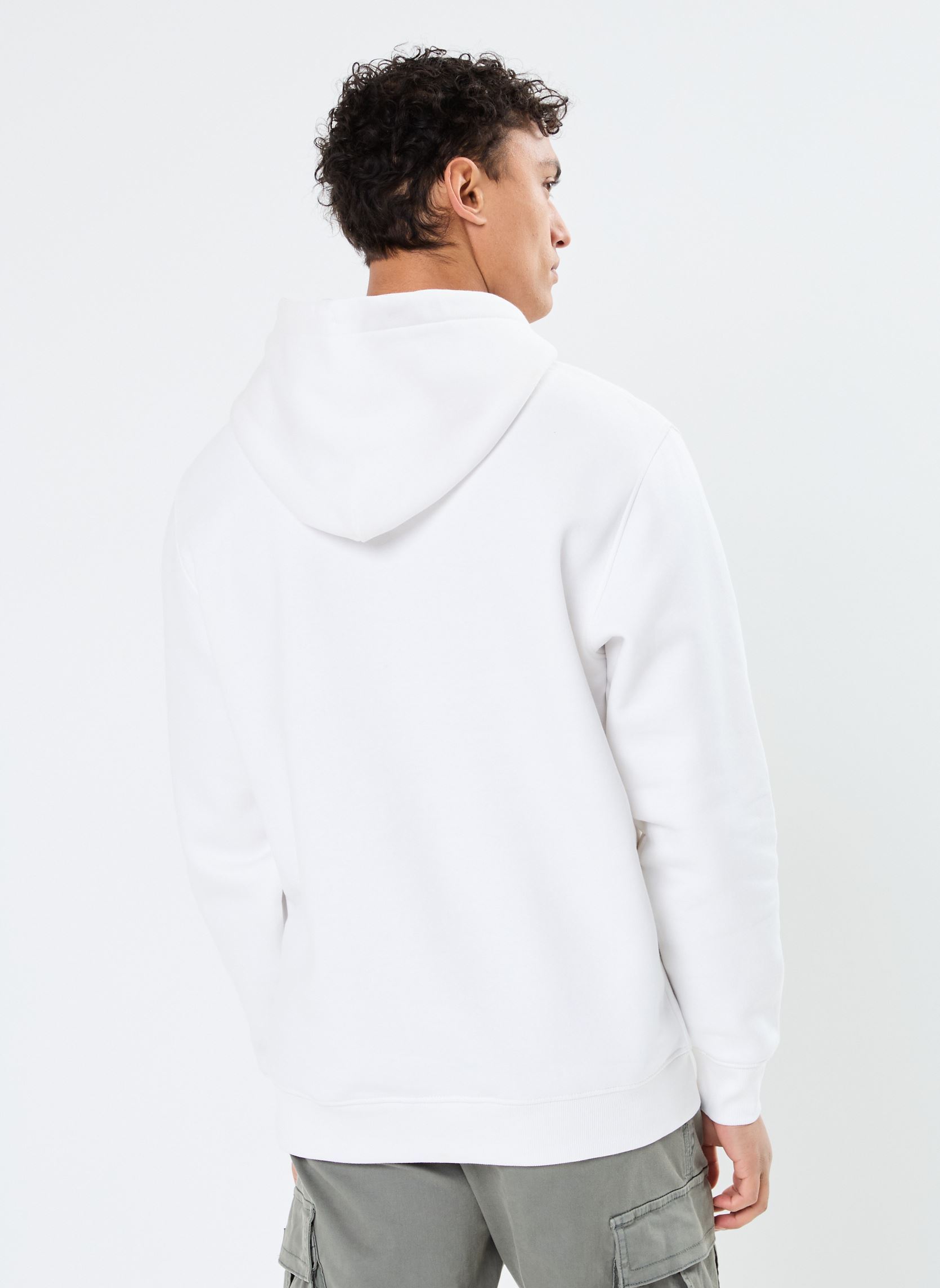 Sweats à capuche Tjm Reg Essential Fl DM0DM20738 homme blanc Tommy Jeans Sweats à capuche Tjm Reg Essential Fl DM0DM20738 homme blanc WHITE