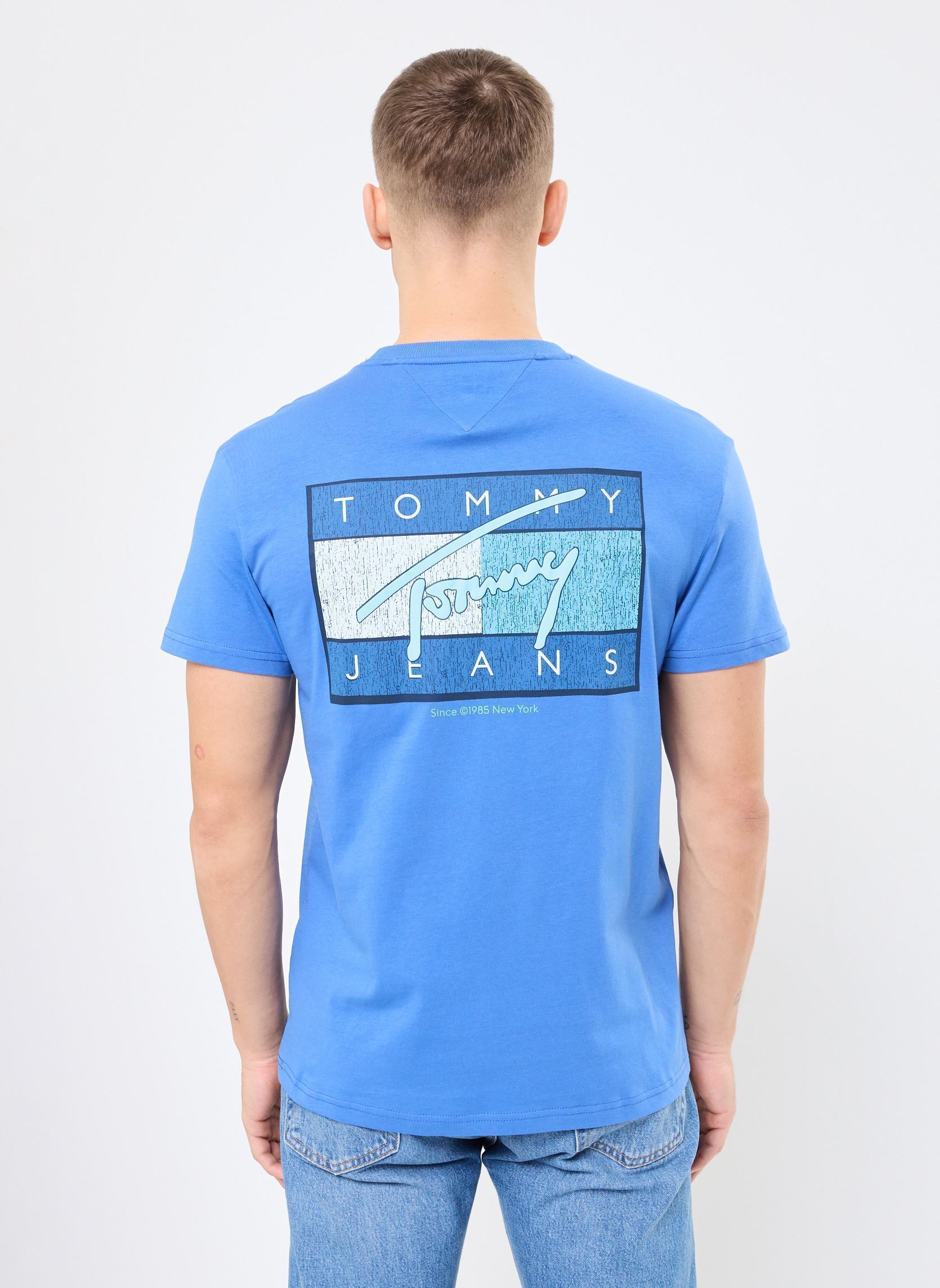 Tee-shirts manches courtes Tjm Reg Rwb Flag Tee DM0DM21108 homme bleu Tommy Jeans Tee-shirts manches courtes Tjm Reg Rwb Flag Tee DM0DM21108 homme bleu TEMPO BLUE