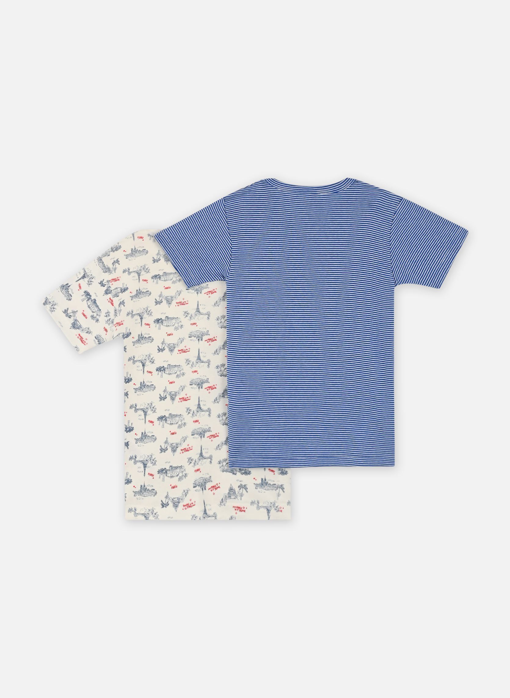 Tee-shirts manches courtes 2 Tee Shirts MC A0CSC00 garçon bleu Petit Bateau Tee-shirts manches courtes 2 Tee Shirts MC A0CSC00 garçon bleu Variante 1